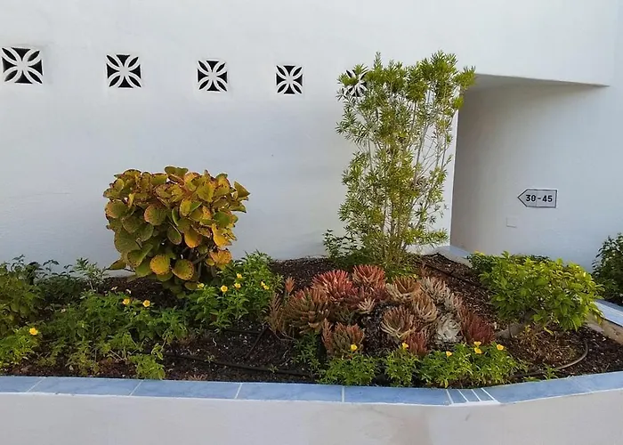 Ocean View Near The Nyaraló Costa Adeje (Tenerife)